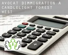 Avocat d'immigration à  Candlelight Forest West