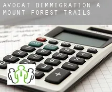 Avocat d'immigration à Mount Forest Trails