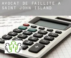 Avocat de faillite à  Saint John Island
