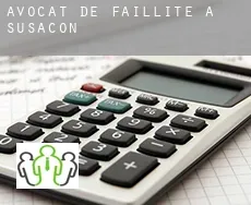 Avocat de faillite à  Susacón