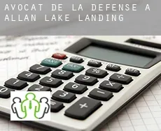 Avocat de la défense à  Allan Lake Landing