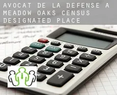 Avocat de la défense à  Meadow Oaks