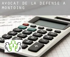 Avocat de la défense à Montoing