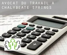 Avocat du travail à  Chalybeate Springs