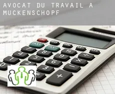 Avocat du travail à  Muckenschopf