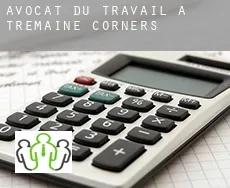 Avocat du travail à  Tremaine Corners
