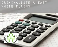 Criminaliste à East White Plains