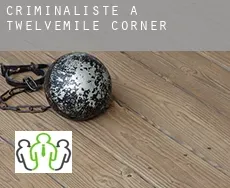Criminaliste à  Twelvemile Corner