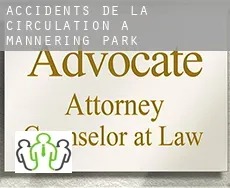 Accidents de la circulation à Mannering Park