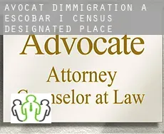 Avocat d'immigration à  Escobar I