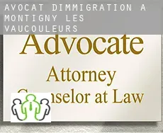 Avocat d'immigration à  Montigny-lès-Vaucouleurs