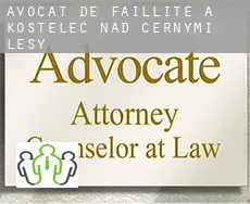 Avocat de faillite à  Kostelec nad Černými Lesy