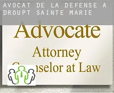 Avocat de la défense à  Droupt-Sainte-Marie