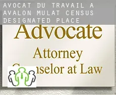 Avocat du travail à  Avalon Mulat