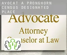 Avocat à  Pronghorn