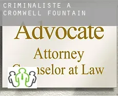 Criminaliste à  Cromwell Fountain