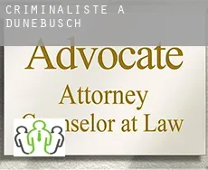 Criminaliste à  Dünebusch