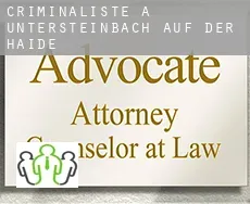 Criminaliste à Untersteinbach auf der Haide