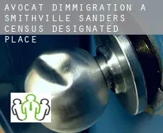 Avocat d'immigration à Smithville-Sanders