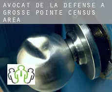 Avocat de la défense à  Grosse-Pointe (census area)