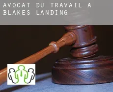 Avocat du travail à  Blakes Landing