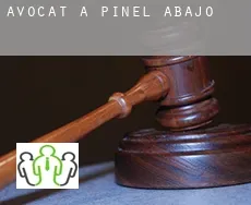 Avocat à  Piñel de Abajo