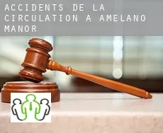 Accidents de la circulation à  Amelano Manor