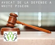 Avocat de la défense à  White Pigeon