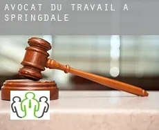 Avocat du travail à  Springdale