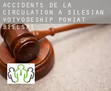 Accidents de la circulation à Powiat bielski (Silesian Voivodeship)