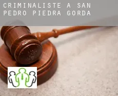 Criminaliste à  San Pedro Piedra Gorda
