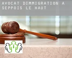 Avocat d'immigration à  Seppois-le-Haut