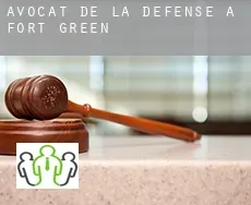 Avocat de la défense à  Fort Green