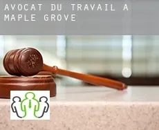 Avocat du travail à  Maple Grove