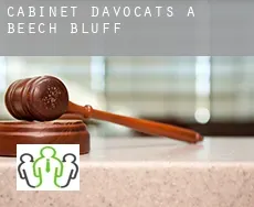 Cabinet d'avocats à  Beech Bluff