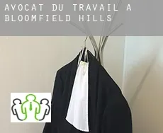 Avocat du travail à  Bloomfield Hills