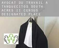 Avocat du travail à  Tanquecitos South Acres II