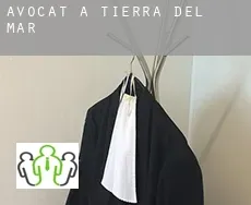 Avocat à  Tierra Del Mar