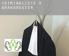 Criminaliste à  Brandroster