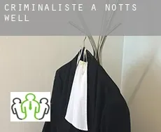 Criminaliste à  Notts Well