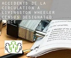 Accidents de la circulation à  Livingston Wheeler