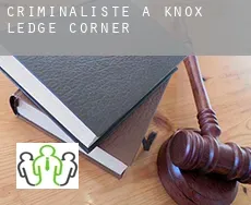 Criminaliste à  Knox Ledge Corner