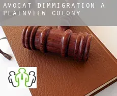 Avocat d'immigration à  Plainview Colony