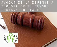 Avocat de la défense à  Sequoia Crest