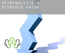 Criminaliste à  Plymouth Union