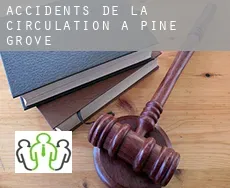 Accidents de la circulation à  Pine Grove