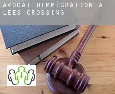 Avocat d'immigration à Lees Crossing
