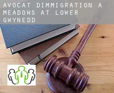 Avocat d'immigration à  Meadows at Lower Gwynedd