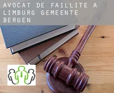 Avocat de faillite à  Gemeente Bergen (Limburg)