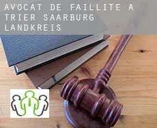 Avocat de faillite à  Trier-Saarburg Landkreis